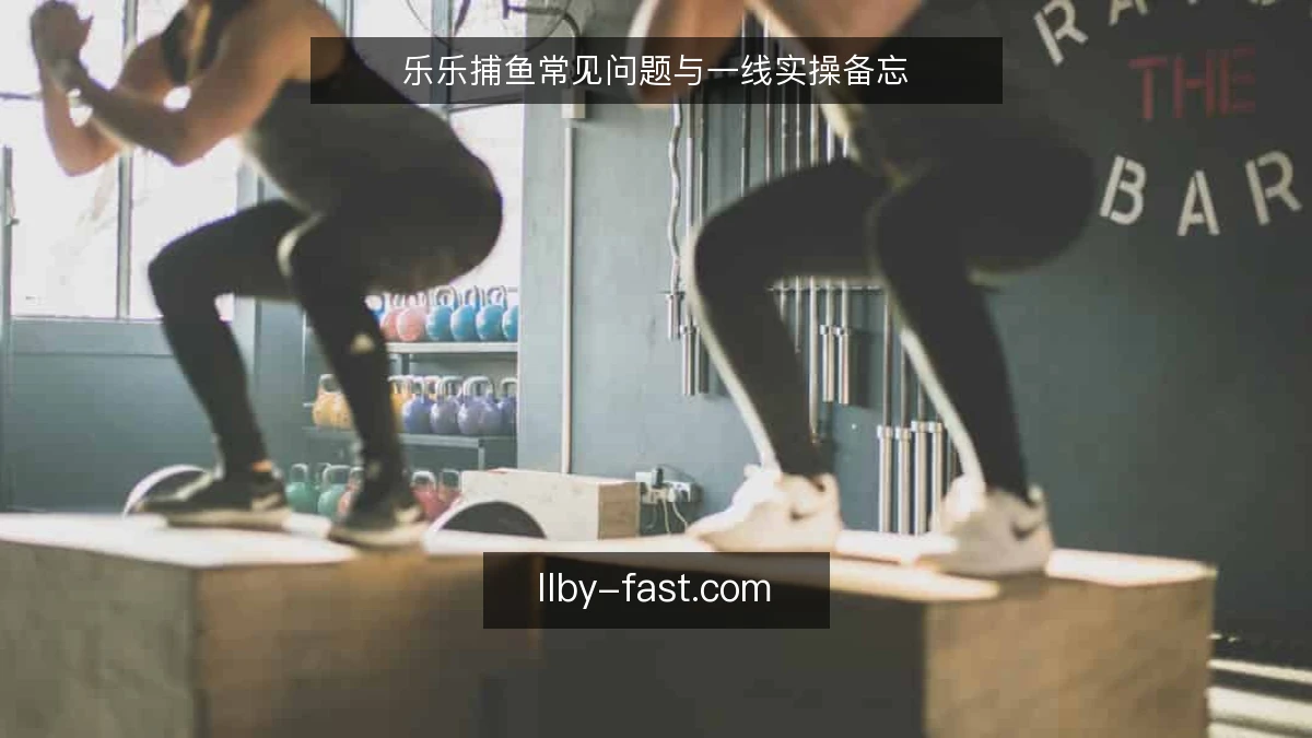 乐乐捕鱼常见问题与一线实操备忘