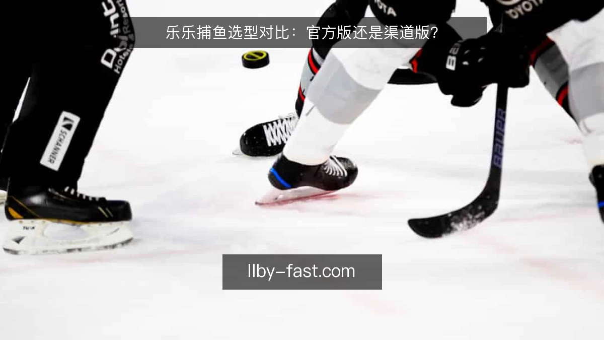 乐乐捕鱼选型对比：官方版还是渠道版？